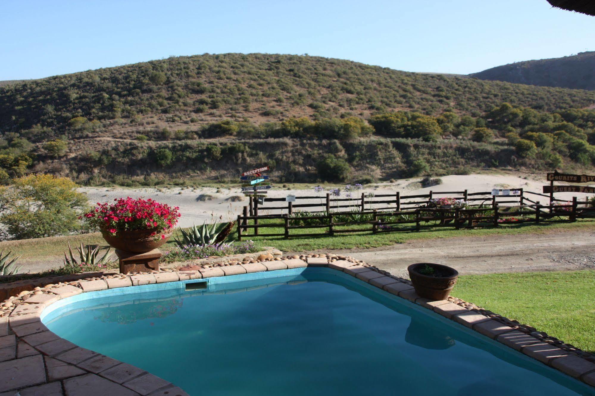 Gourits River Guest Farm Albertinia Exterior foto